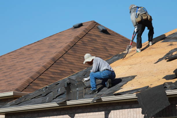 Best Roof Ventilation Installation  in Madison, WV