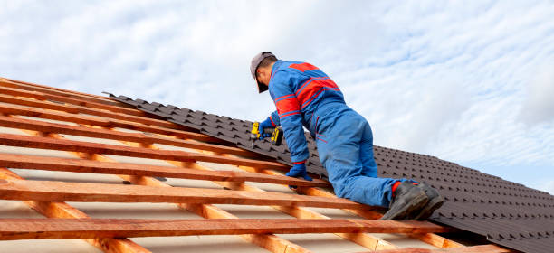 Best Gutter Replacement  in Madison, WV