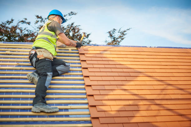 Best Metal Roofing Installation  in Madison, WV